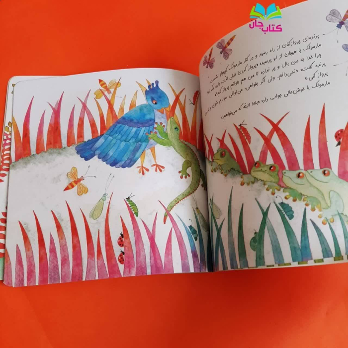 تصاویری ازداخل کتاب