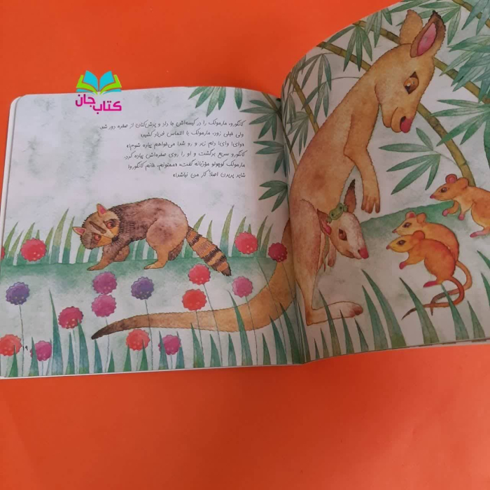 تصاویری ازداخل کتاب 