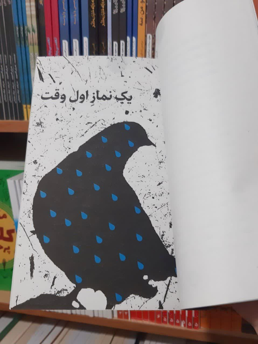 تصاویر داخل کتاب 