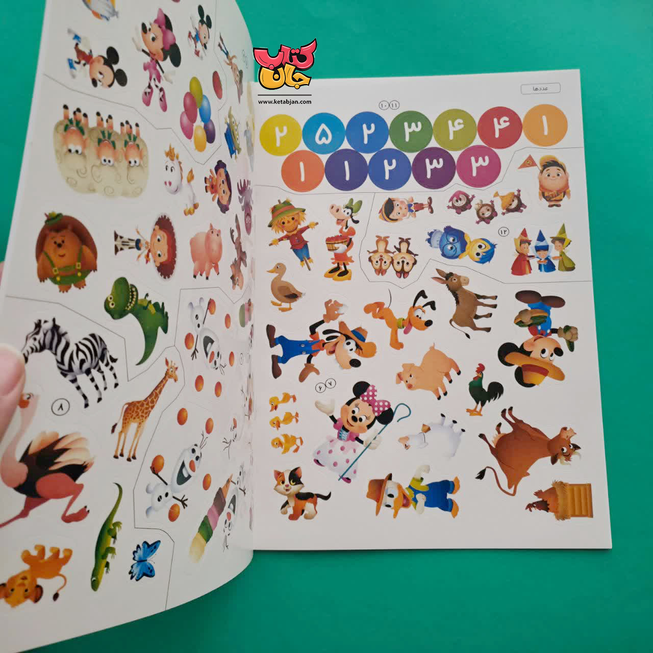 کتاب عددها ( از مجموعه دنیای برچسب های دیدنی)