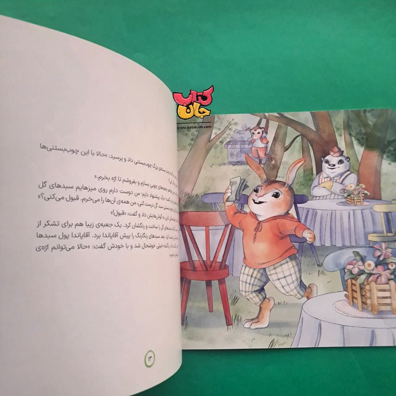 کتاب راز دم پنبه ای ( از مجموعه داستان های سواد مالی )