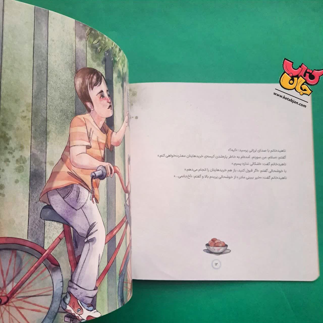 کتاب  پیک دوچرخه ( از مجموعه داستان های سواد مالی )