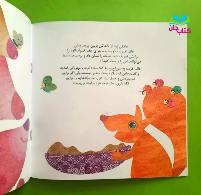 تصاویری ازداخل کتاب 