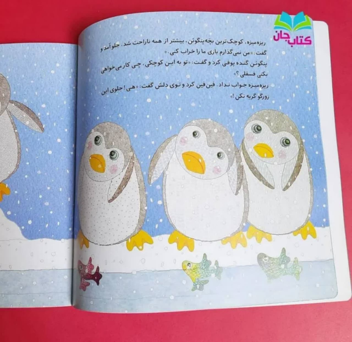 تصاویر داخل کتاب 