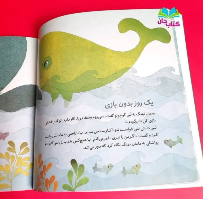 تصاویر داخل کتاب 