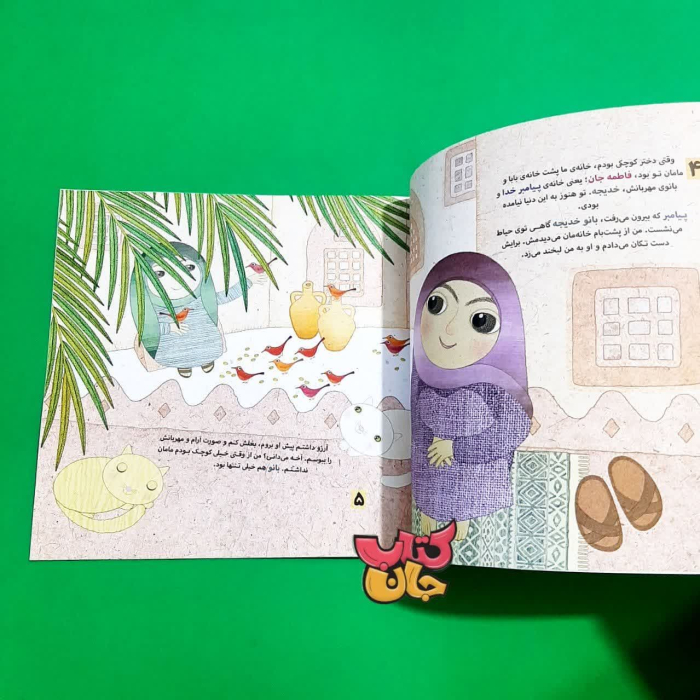 تصویر داخل کتاب 