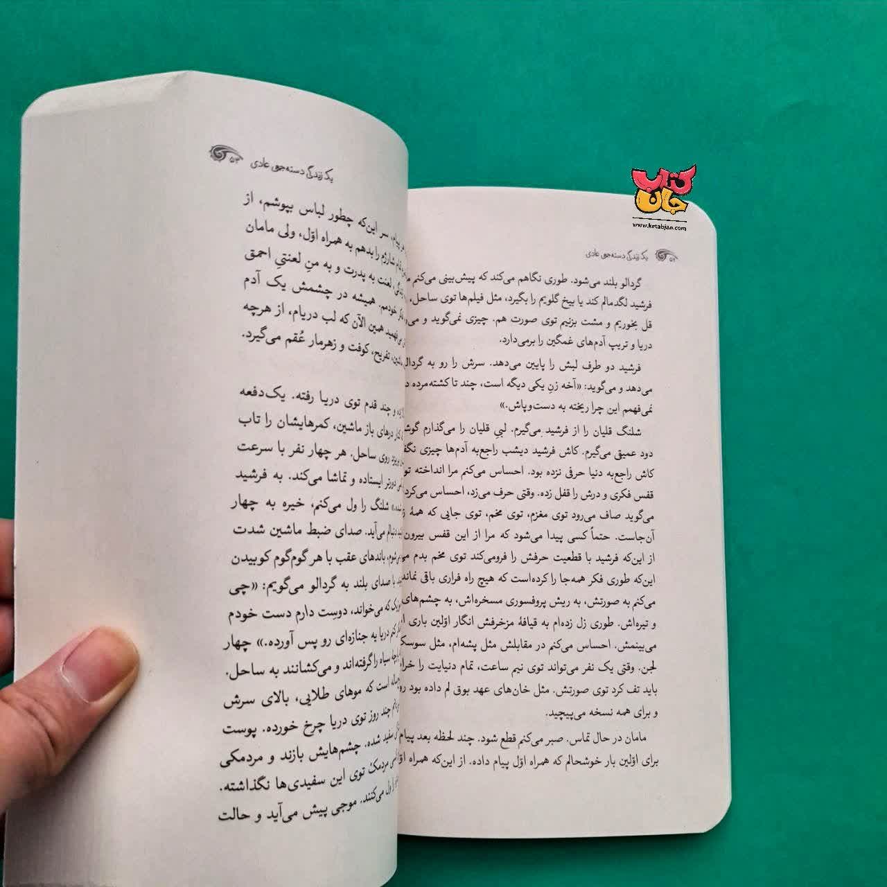 کتاب یک زندگی دسته جمعی 