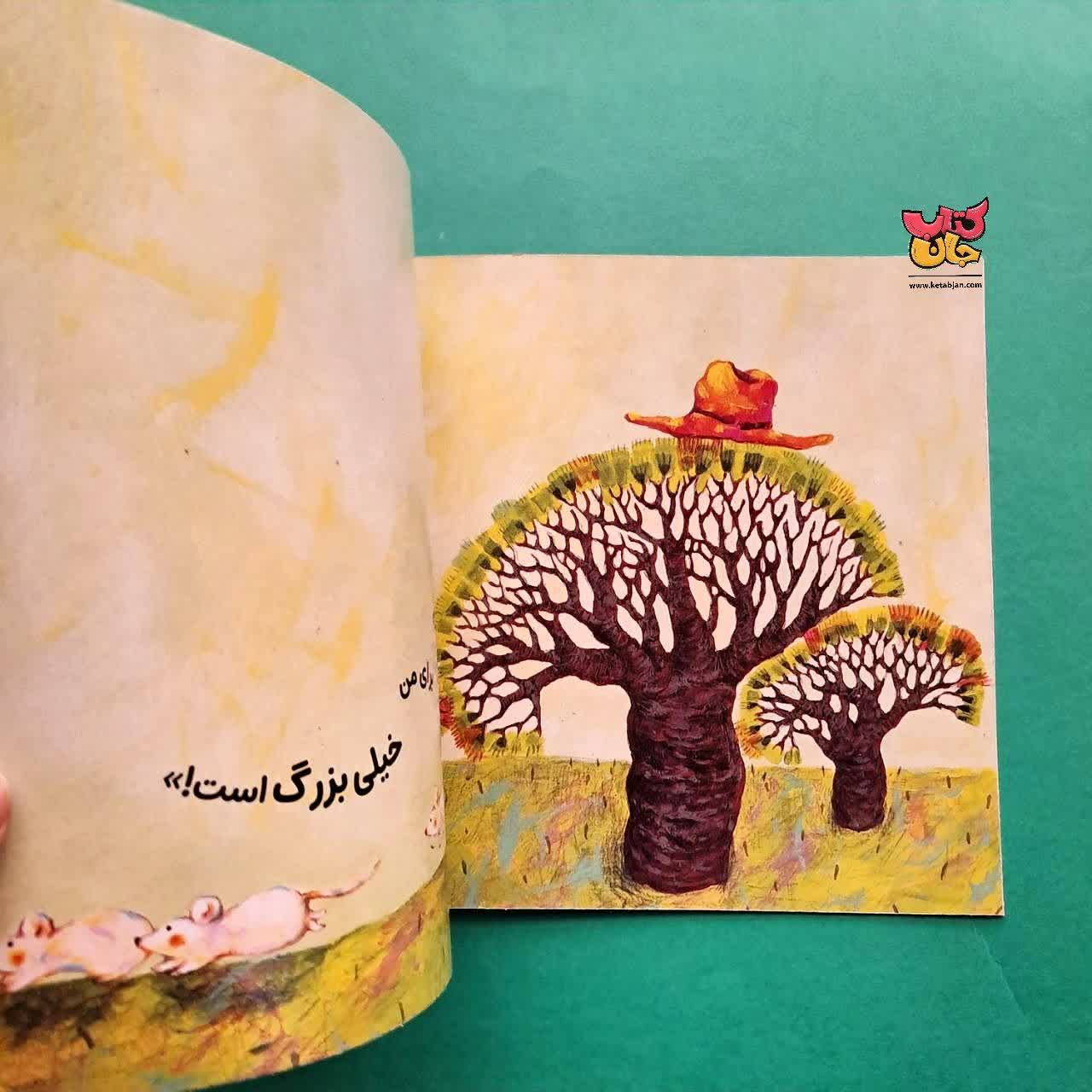 کتاب کلاه کیه؟