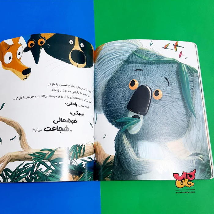 تصاویر داخل کتاب 