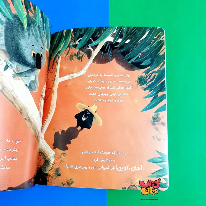 تصاویر داخل کتاب 