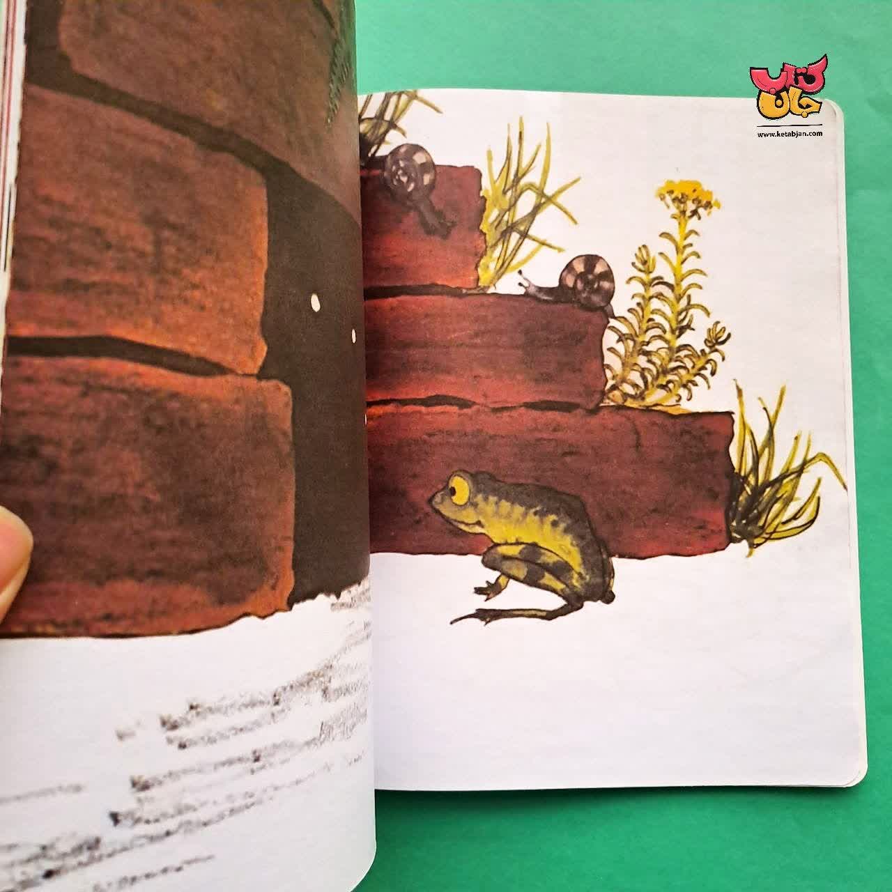 کتاب لانه ی من کجاست 