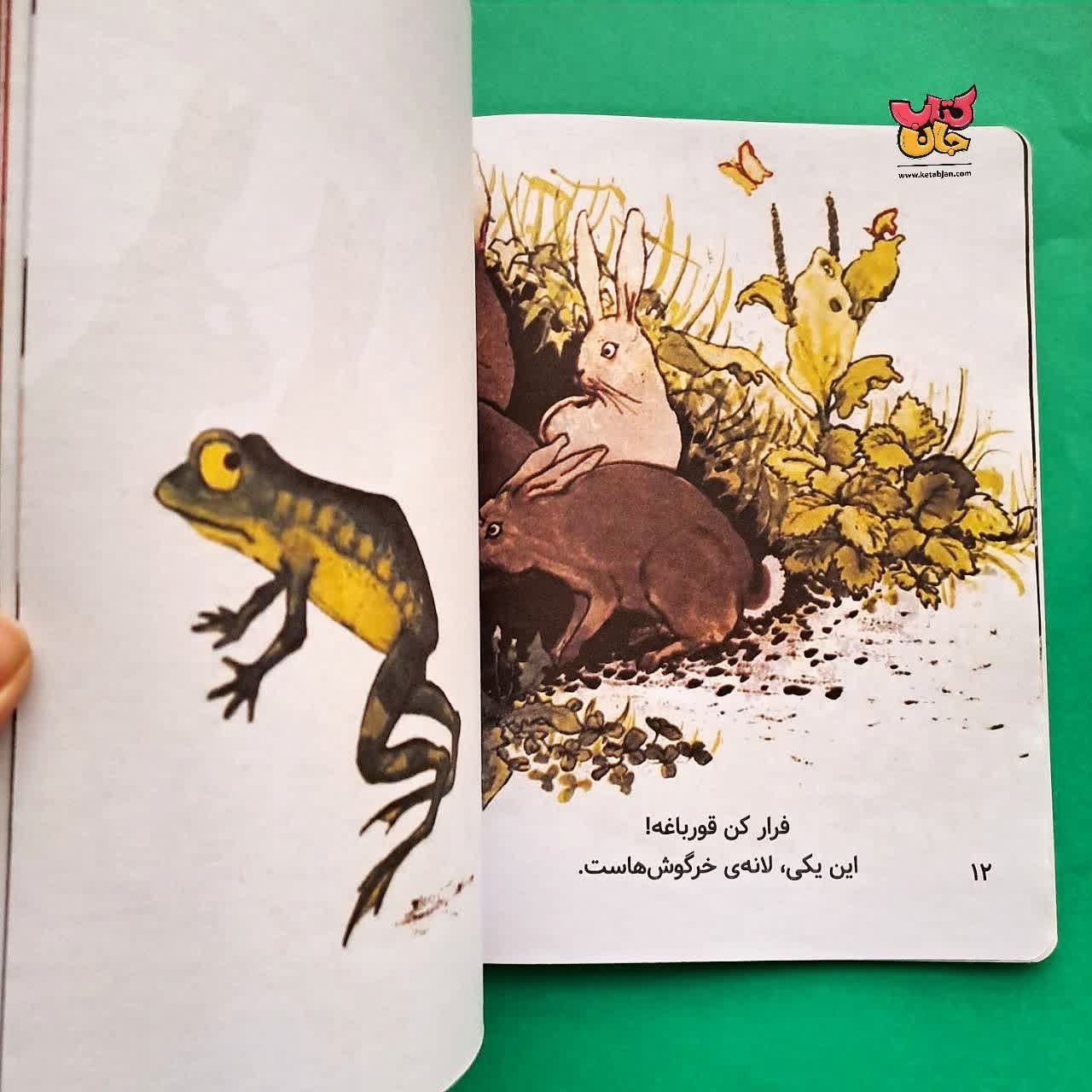 کتاب لانه ی من کجاست 