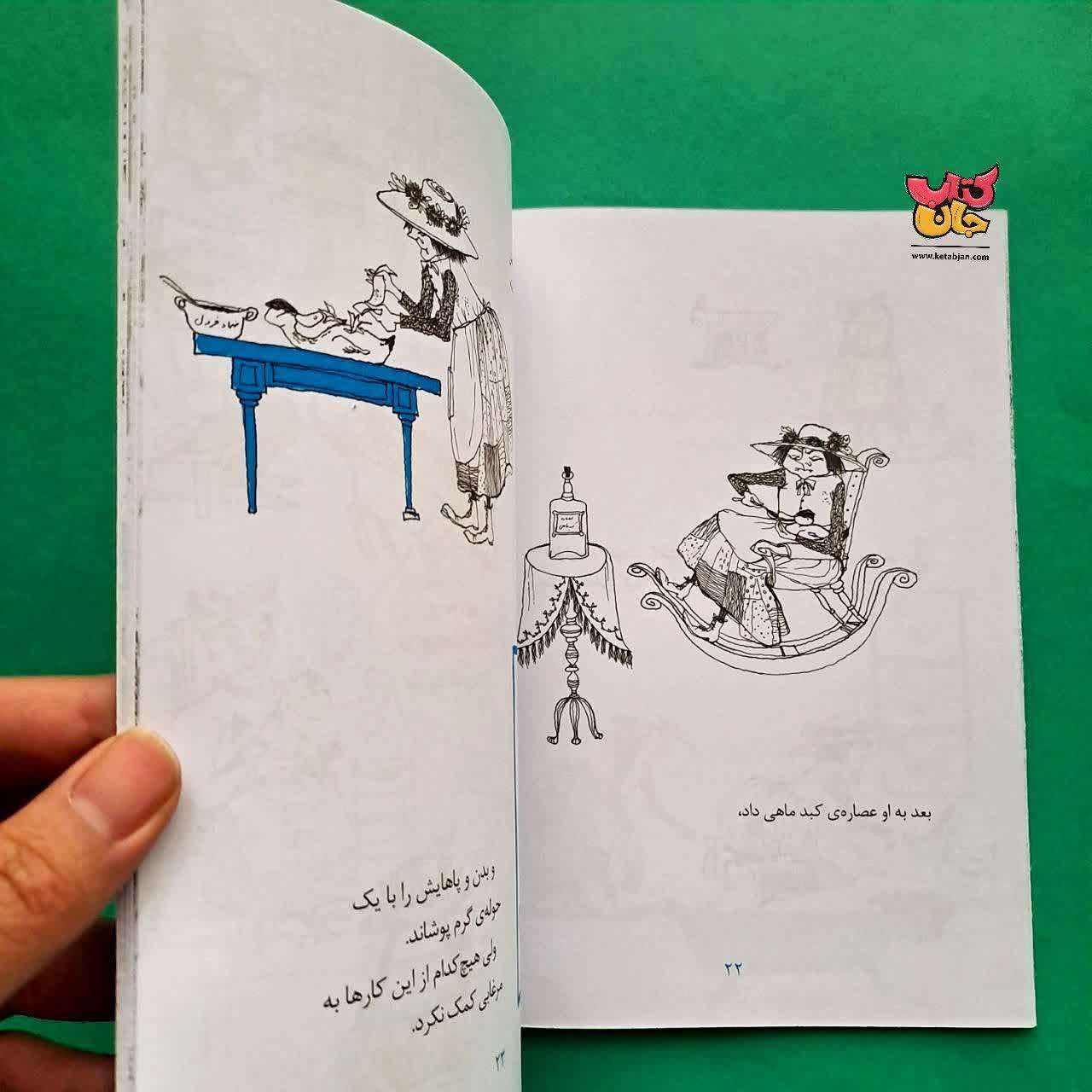 کتاب مرغابی کارلینه 