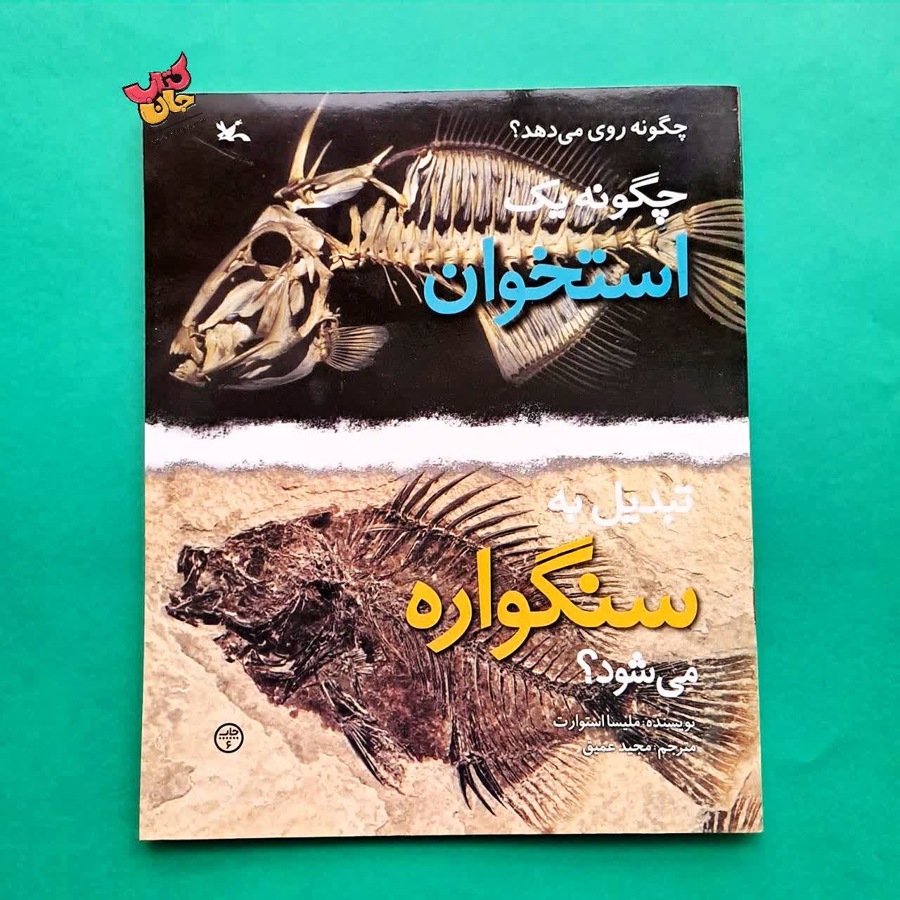 کتاب چگونه یک استخوان تبدیل به سنگواره می شود از مجموعه چگونه روی می دهد 