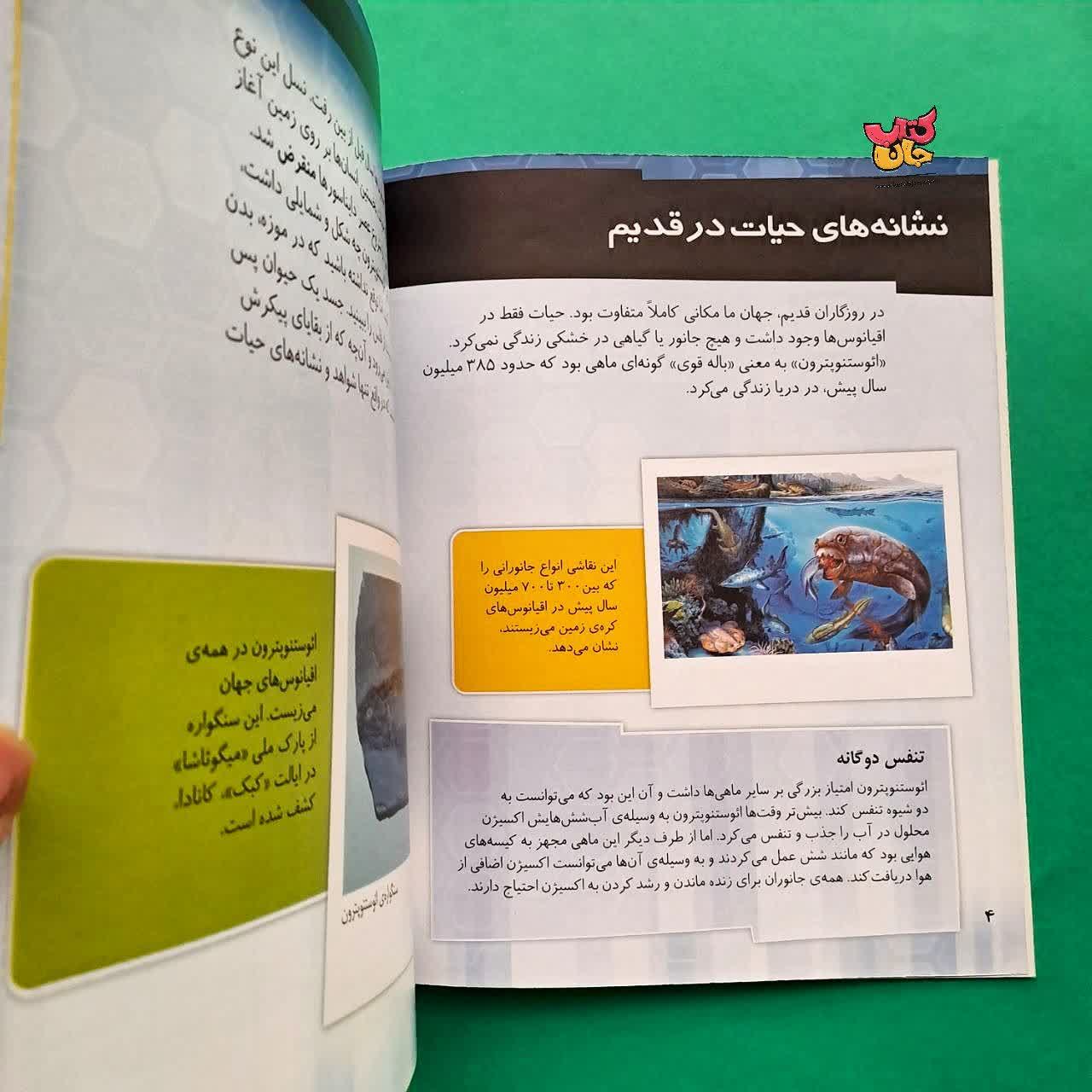 کتاب چگونه یک استخوان تبدیل به سنگواره می شود از مجموعه چگونه روی می دهد 