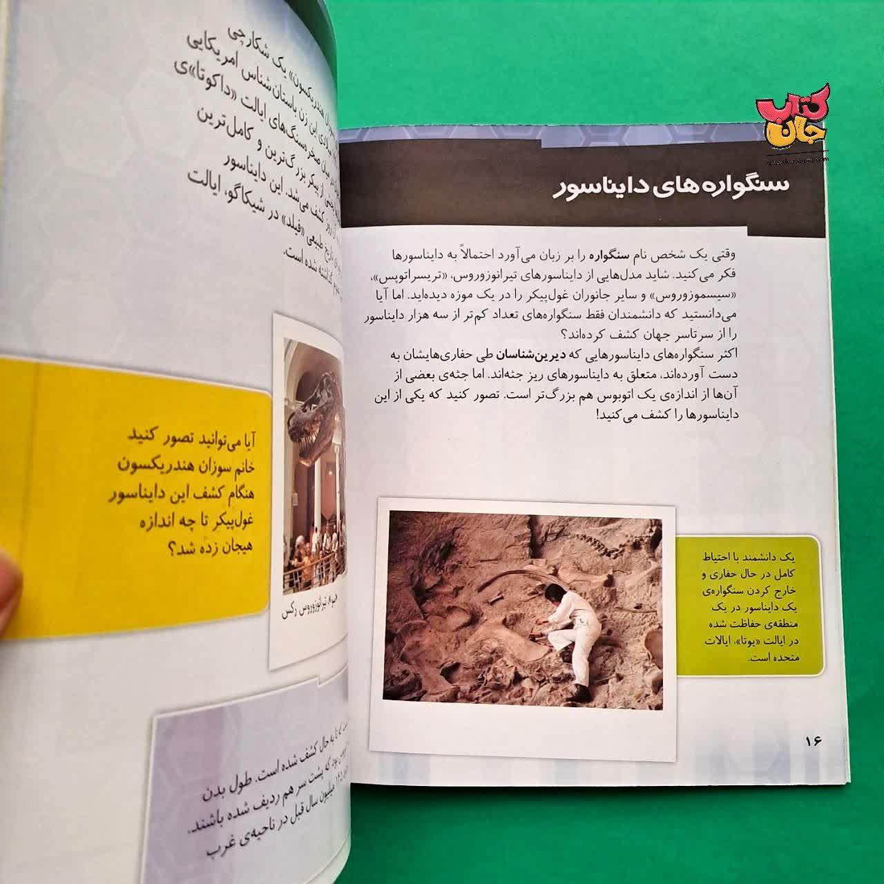 کتاب چگونه یک استخوان تبدیل به سنگواره می شود از مجموعه چگونه روی می دهد 
