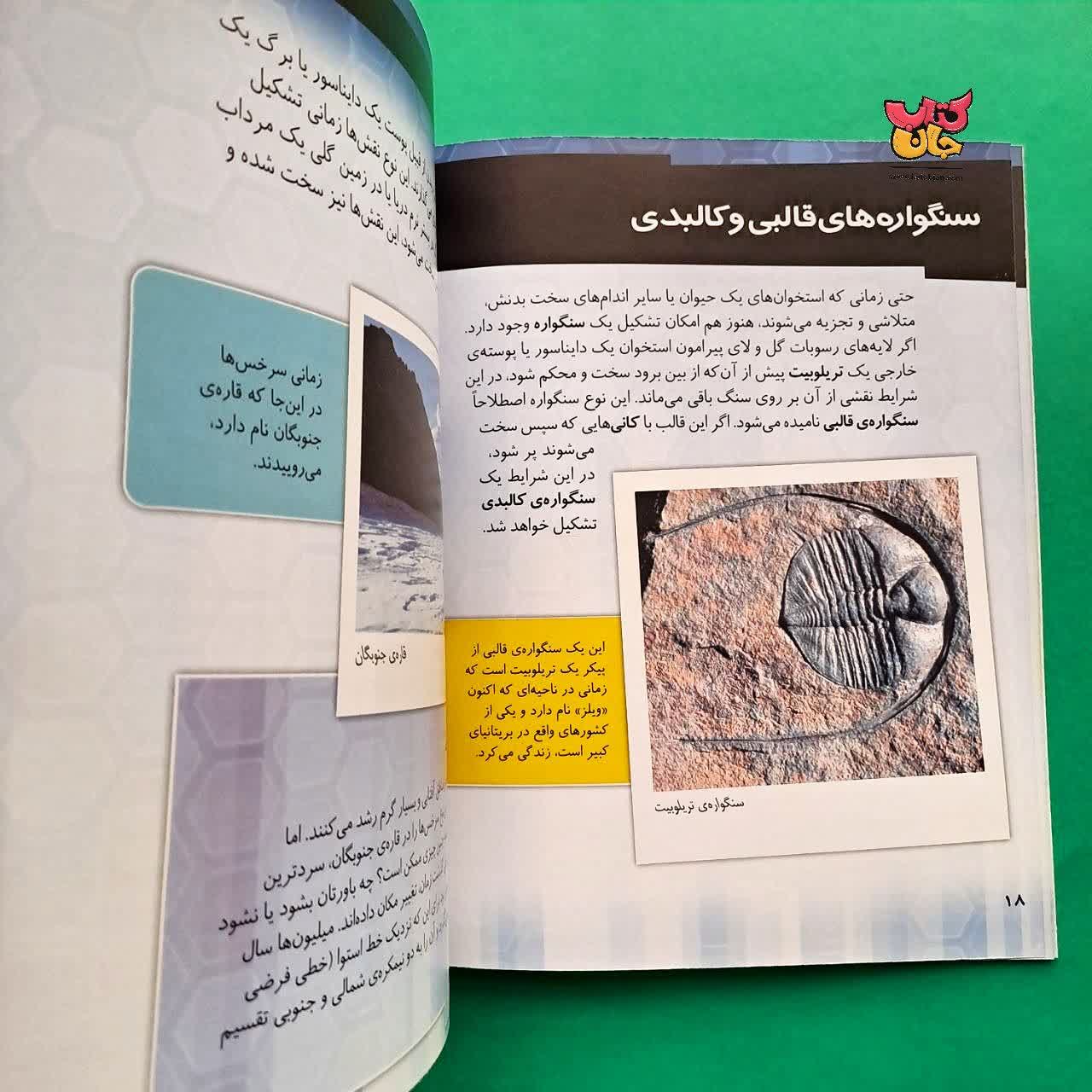 کتاب چگونه یک استخوان تبدیل به سنگواره می شود از مجموعه چگونه روی می دهد 