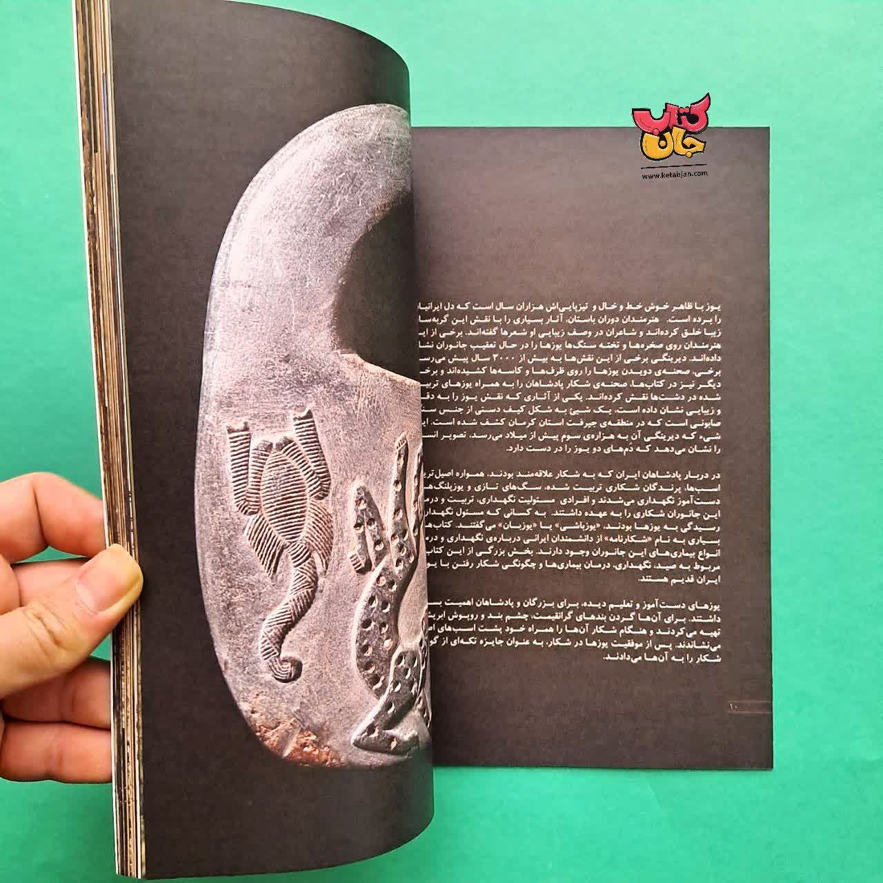 کتاب یوزپلنگ آسیایی 