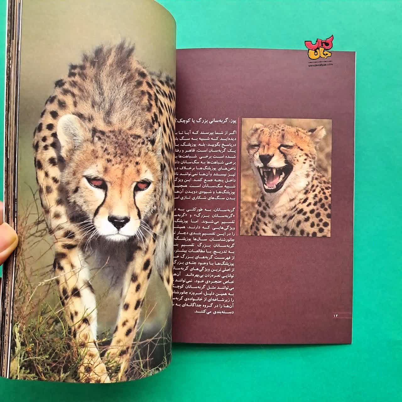 کتاب یوزپلنگ آسیایی 