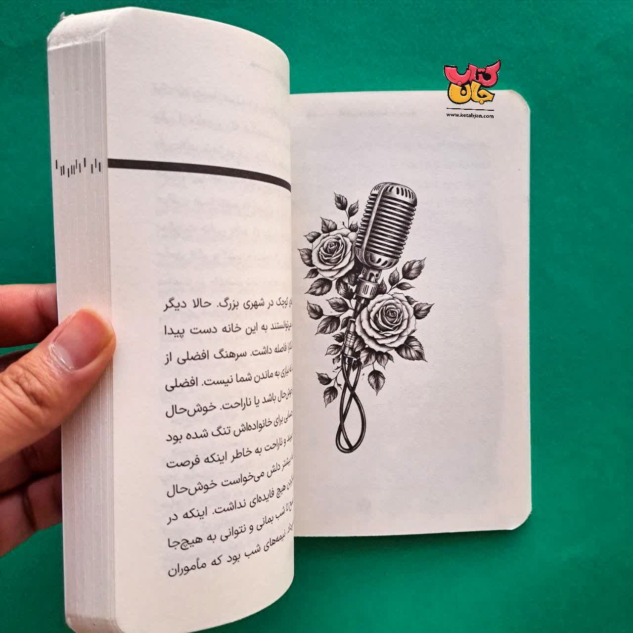 کتاب گنجی در بورسا از مجموعه خورشید در تبعید 2