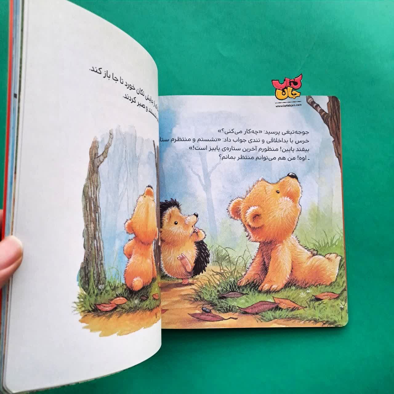 کتاب چطوری ستاره ای را بگیریم که دارد می افتد 