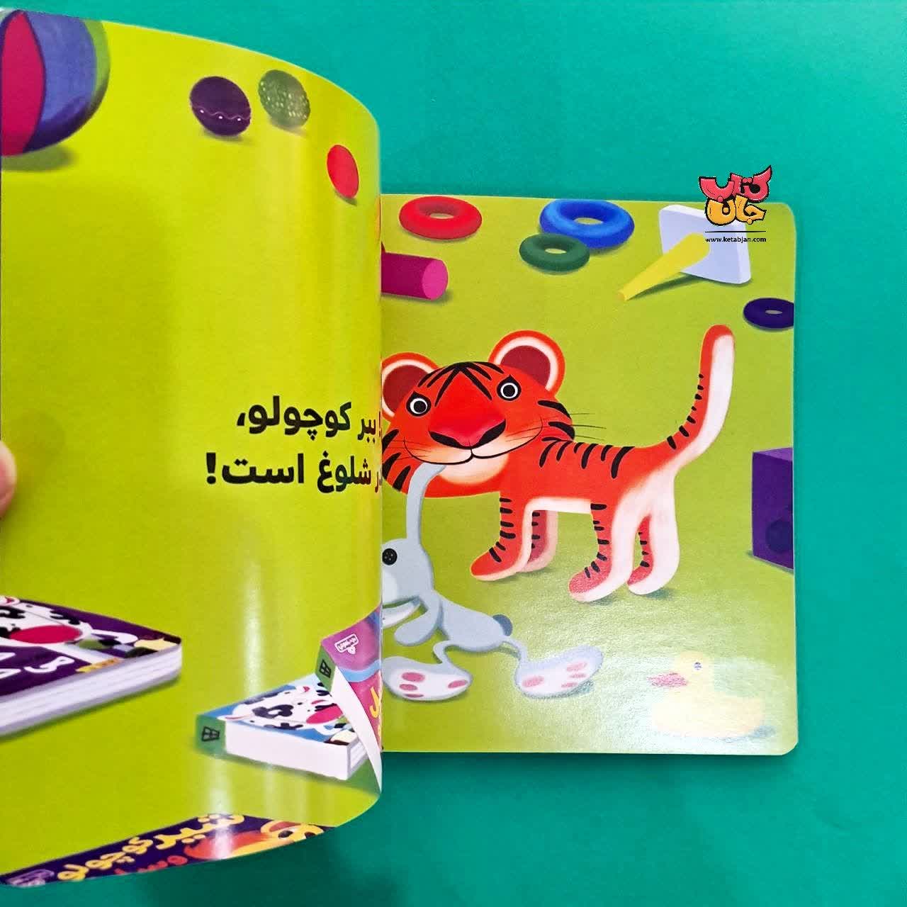 کتاب ببر کوچولو جمع و جور میکنه از مجموعه بچه ی باهوش 6