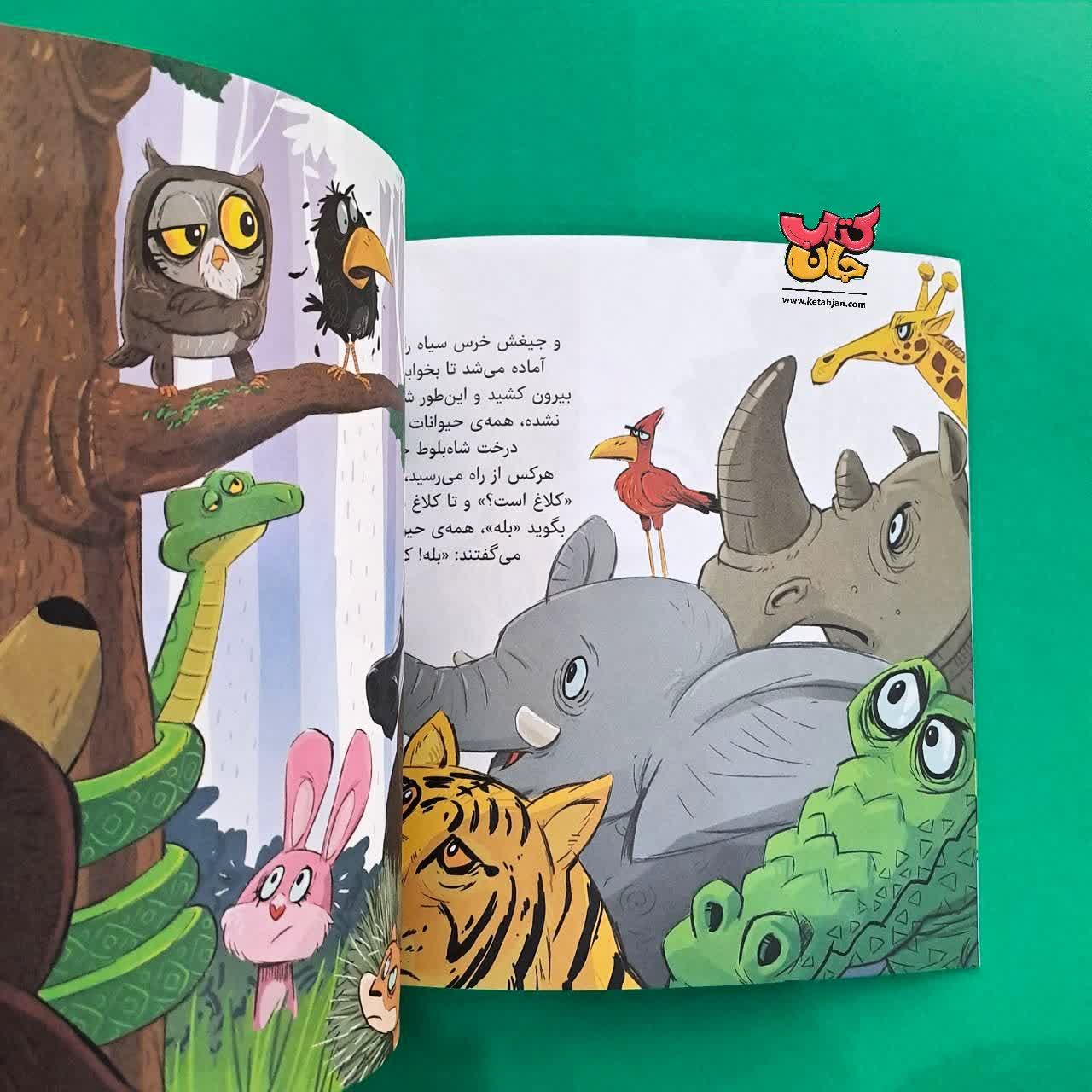 کتاب قانون جنگل تمشک های وحشی از مجموعه قصه های رنگین کمان 4