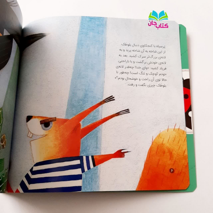 تصویر داخل کتاب 