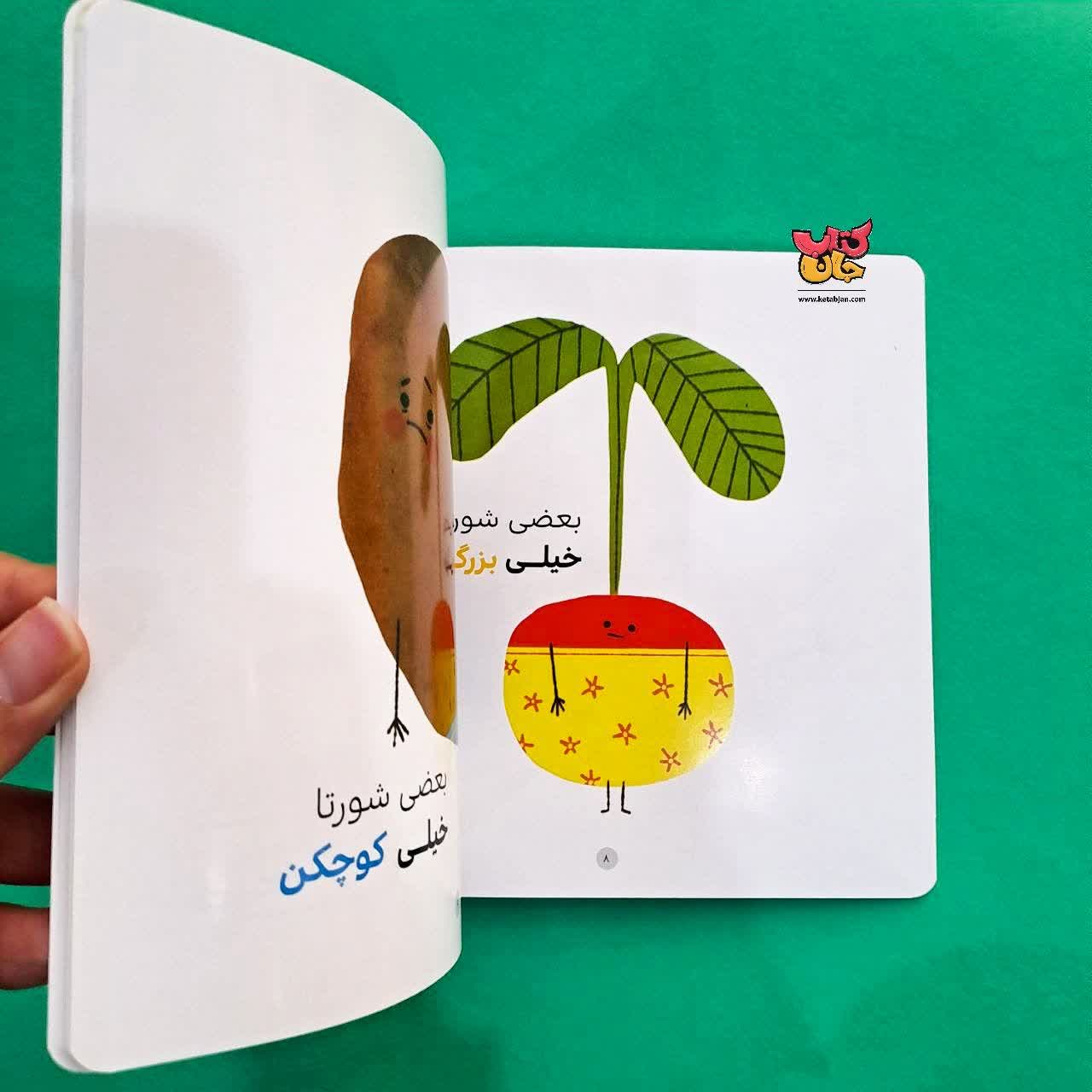 کتاب سبزی ها شورت می پوشند 