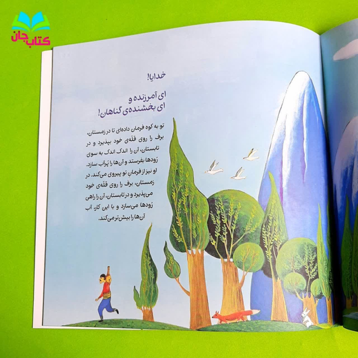 تصاویر داخل کتاب 