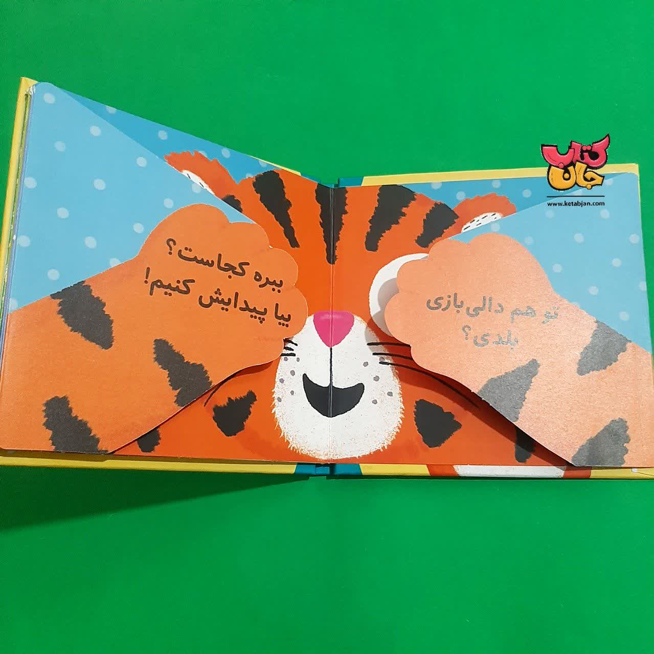 کتاب دالی بازی در باغ وحش