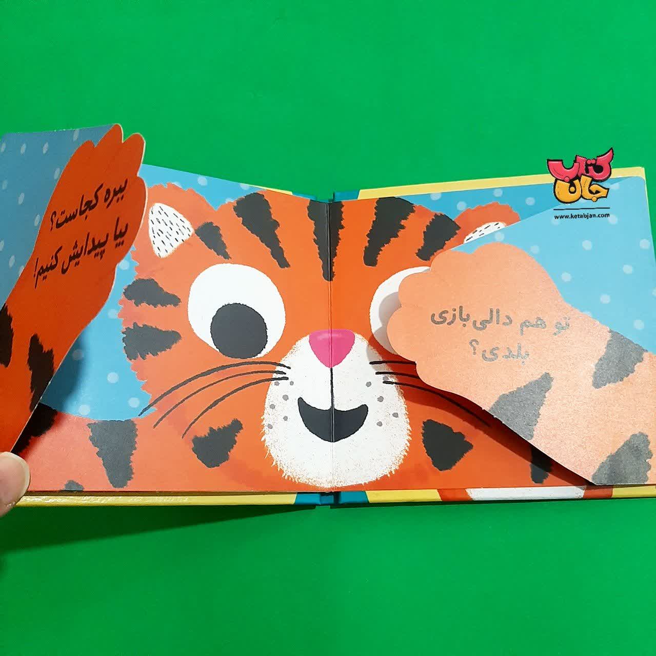 کتاب دالی بازی در باغ وحش